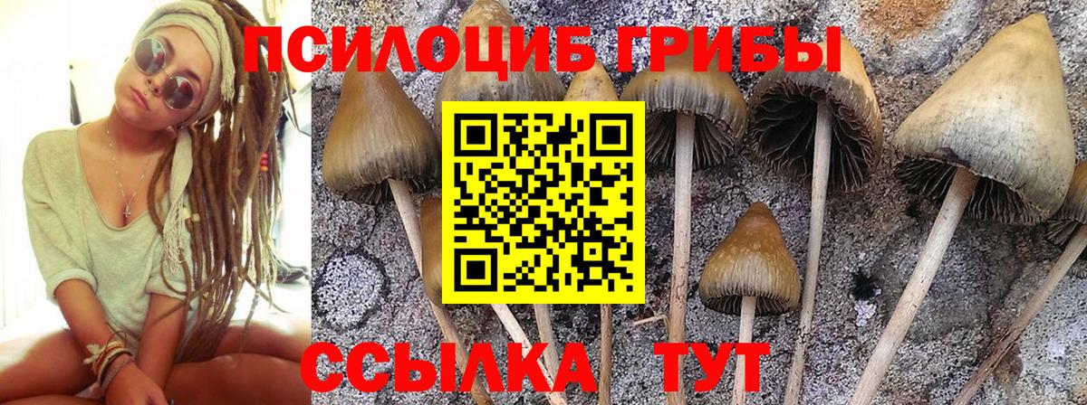 Псилоцибиновые грибы Cubensis  как найти закладки  Псилоцибиновые грибы ЛСД  Энгельс  Вход с VPN 